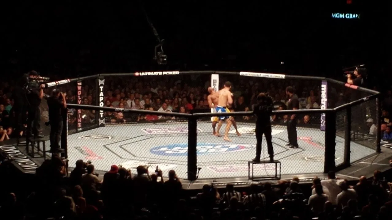 Action au sol et percussion dans la cage de MMA