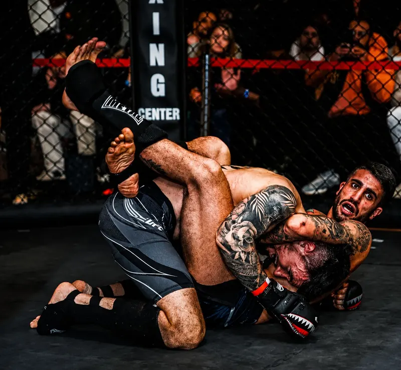 Cage d'entraînement du Cage Fight Toulouse
